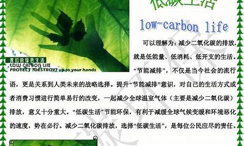低碳环保作文300字一等奖_低碳环保作文