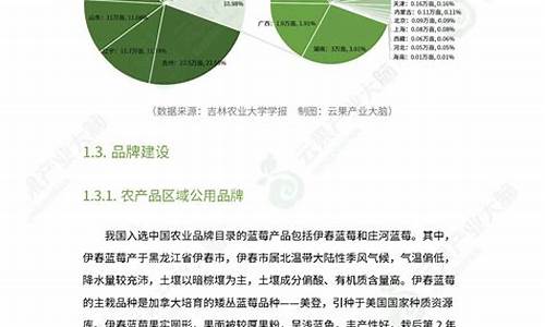 产业分析报告_产业分析报告模版