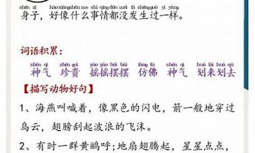 精彩文章_精彩文章开头