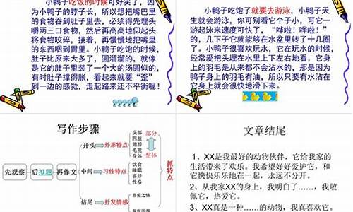 我喜欢的小动物作文500字左右乌龟_我喜欢的小动物作文500字左右乌龟怎么写